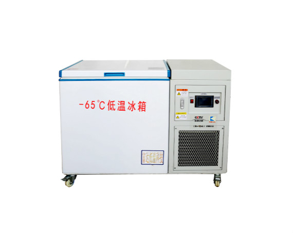 低溫冰箱BKDW-200L-65度